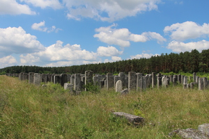 alter jüdischer Friedhof in Brody
