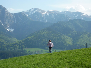 Kleinpolnisches Hochland bei Krakau