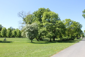 Pilgerweg im Fuldaer Land