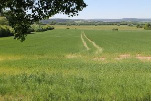 Pilgerweg bei Fulda