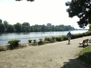 Mainpromenade in Frankfurt