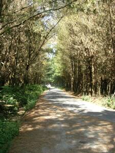 Pilgerweg nach Santiago de Compostela in Galizien