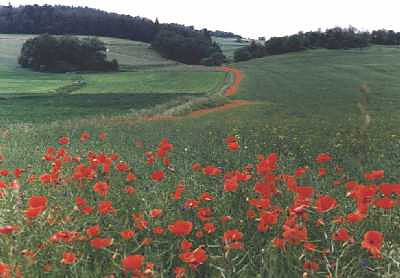 Blick in die Landschaft Blick in die Landschaft