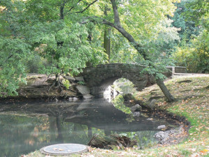 Park in Langenselbold Park in Langenselbold