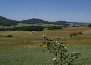 Rückersberg Rückersberg