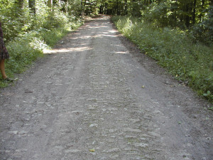 alte Pflasterung an der Weinstraße