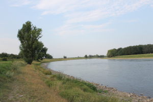 Blick auf die Elbe