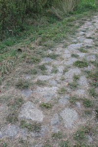 historische Pflasterung an der Elbe