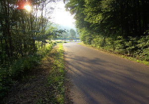 Radweg in Sachsen Radweg in Sachsen