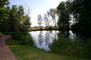 Stadtpark in Großenhain Stadtpark in Großenhain