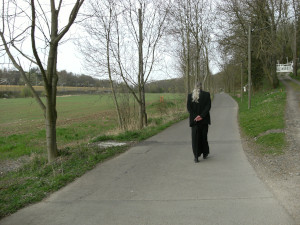 Radweg hinter Kamenz