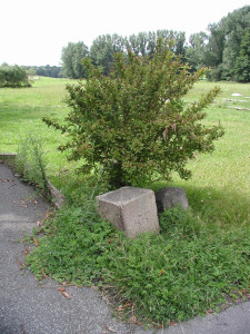 Grenzstein bei Weißenberg