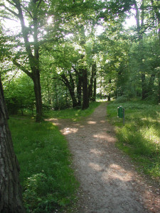 historische VIA REGIA bei Reichenbach/ OL