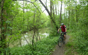 unbefestigter Radweg im Wald unbefestigter Radweg im Wald