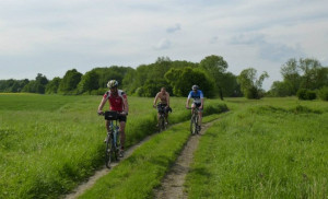 unbefestigter Abschnitt des Oderradwegs unbefestigter Abschnitt des Oderradwegs