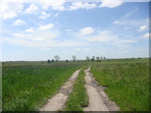 unbefestigter Radweg in Polen
