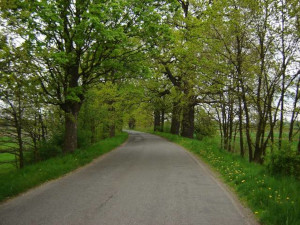 Radweg bei Popielow Radweg bei Popielow
