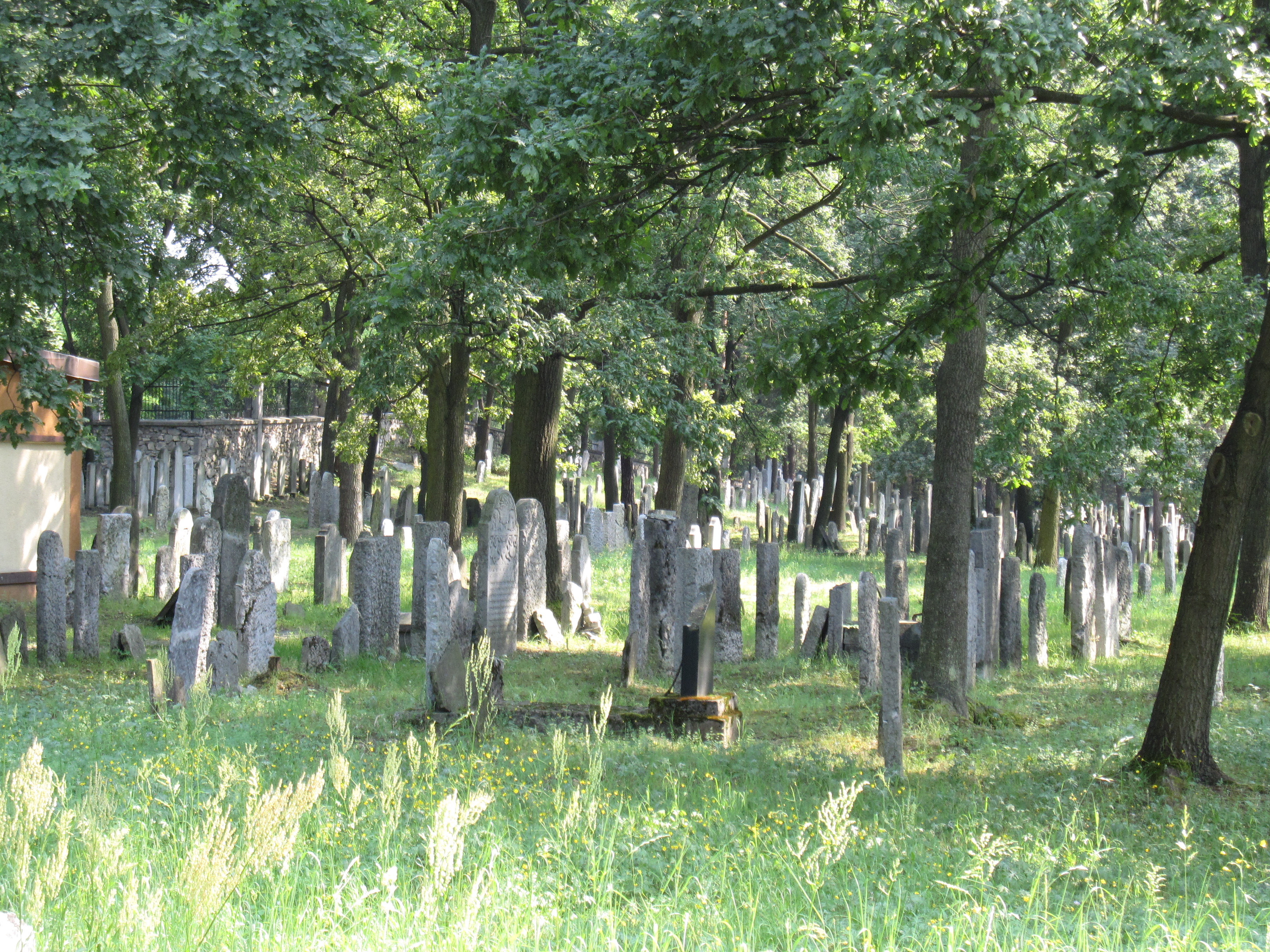 jüdischer Friedhof in Chrzanow jüdischer Friedhof in Chrzanow